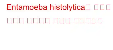 Entamoeba histolytica에 감염된 사람의 특징적인 증상은 무엇입니까